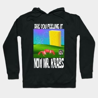 ARE YOU FEELING IT NOW MR.KRABS Hoodie